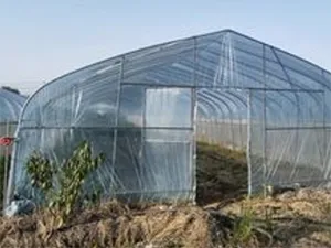 أفلام التغطية الزراعية (الملش الزراعي) من مادة الـ PVC